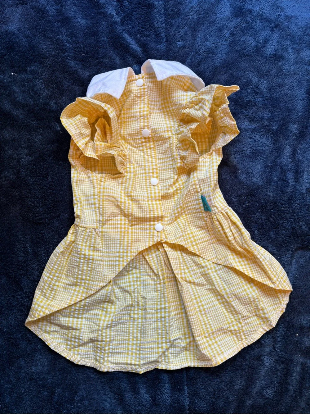 PETCIRCLE charming yellow